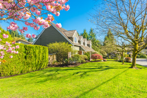 Maintaining your Home in the Spring